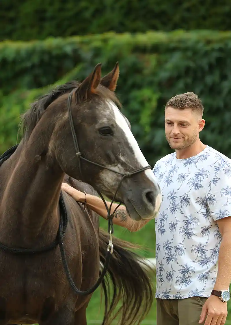 Mann streichelt braun graues Pferd