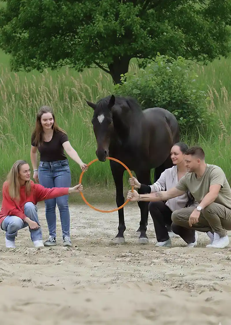 Vier Personen mit einem Pferd in der Mitte